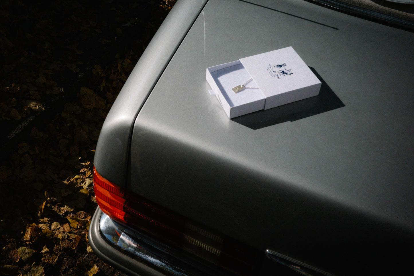 Emily's Silver Pendant